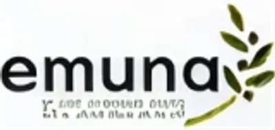 Brand identity example 5
